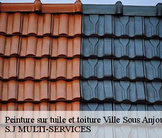 Peinture sur tuile et toiture  ville-sous-anjou-38150 S.J MULTI-SERVICES