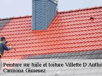 Peinture sur tuile et toiture villette-d-anthon-38280 Carmona Gimenez