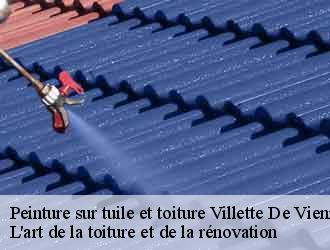 Peinture sur tuile et toiture  villette-de-vienne-38200 L'art de la toiture et de la rénovation