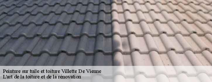 Peinture sur tuile et toiture  38200