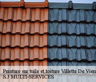 Peinture sur tuile et toiture villette-de-vienne-38200 S.J MULTI-SERVICES