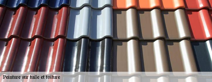 Peinture sur tuile et toiture 38470