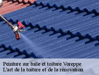 Peinture sur tuile et toiture  voreppe-38340 L'art de la toiture et de la rénovation