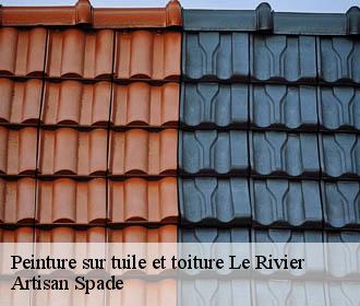 Peinture sur tuile et toiture  le-rivier-38140 Artisan Spade