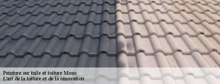 Peinture sur tuile et toiture  38280