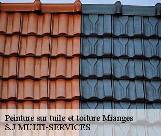 Peinture sur tuile et toiture mianges-38460 S.J MULTI-SERVICES