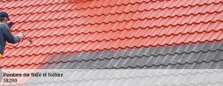 Peinture sur tuile et toiture 38290