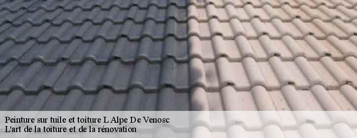 Peinture sur tuile et toiture  38860