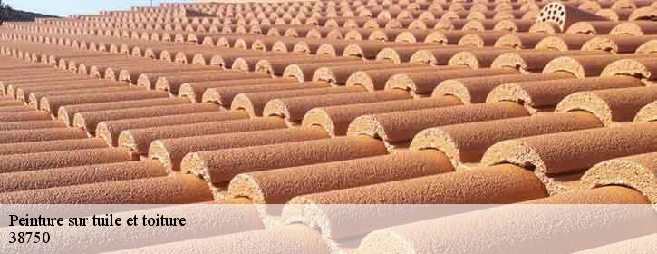 Peinture sur tuile et toiture  38750
