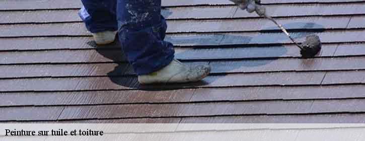 Peinture sur tuile et toiture  38750