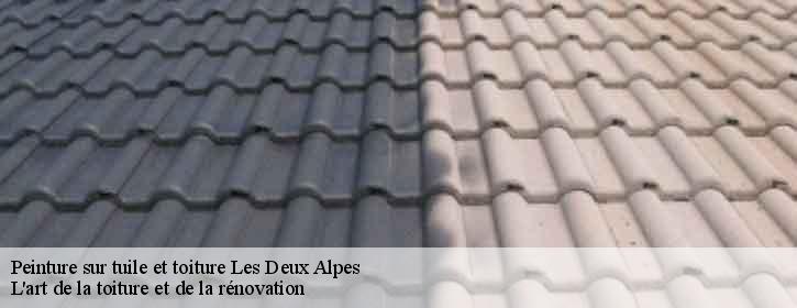 Peinture sur tuile et toiture  38860