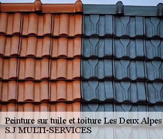Peinture sur tuile et toiture  les-deux-alpes-38860 S.J MULTI-SERVICES