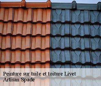 Peinture sur tuile et toiture  livet-38220 Artisan Spade