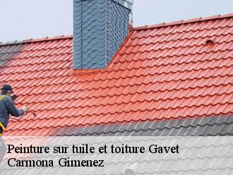 Peinture sur tuile et toiture gavet-38220 Carmona Gimenez