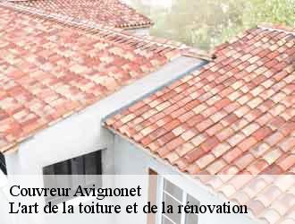 Couvreur  avignonet-38650 L'art de la toiture et de la rénovation