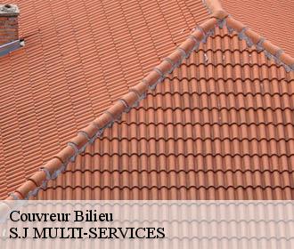 Couvreur bilieu-38850 S.J MULTI-SERVICES