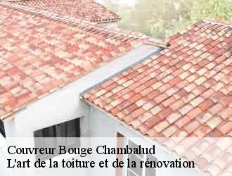 Couvreur  bouge-chambalud-38150 L'art de la toiture et de la rénovation