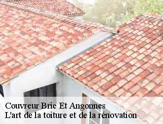 Couvreur  brie-et-angonnes-38320 L'art de la toiture et de la rénovation