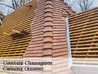 Couvreur chamagnieu-38460