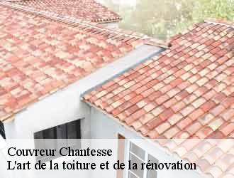 Couvreur  chantesse-38470 L'art de la toiture et de la rénovation