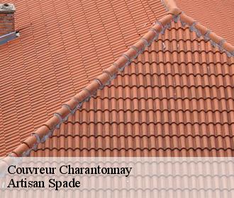 Couvreur  charantonnay-38790 Artisan Spade