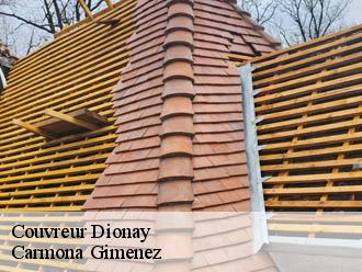 Couvreur dionay-38160 Carmona Gimenez