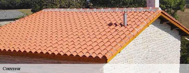 Couvreur  38580