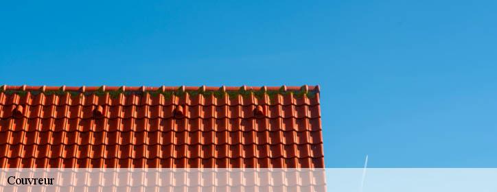 Couvreur 38260