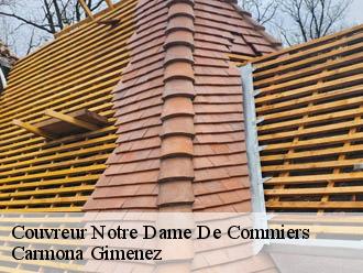 Couvreur notre-dame-de-commiers-38450 Couvreur Payen