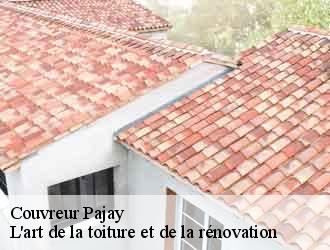 Couvreur  pajay-38260 L'art de la toiture et de la rénovation