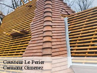 Couvreur le-perier-38740 Carmona Gimenez