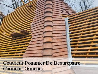 Couvreur pommier-de-beaurepaire-38260 Couvreur Payen