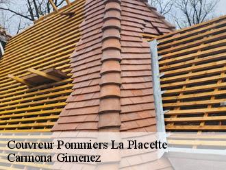 Couvreur pommiers-la-placette-38340 Couvreur Payen
