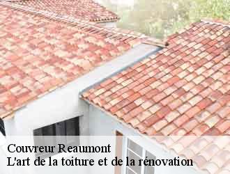 Couvreur reaumont-38140 L'art de la toiture et de la rénovation