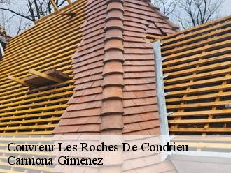 Couvreur les-roches-de-condrieu-38370