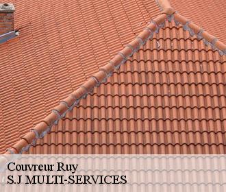 Couvreur  ruy-38300 S.J MULTI-SERVICES