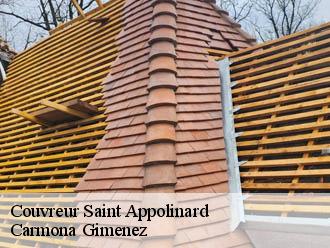Couvreur saint-appolinard-38160 Carmona Gimenez
