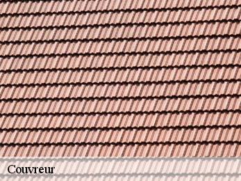 Couvreur 38160