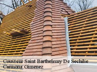 Couvreur saint-barthelemy-de-sechilie-38220 Couvreur Payen