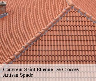 Couvreur saint-etienne-de-crossey-38960 Artisan Spade