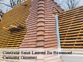 Couvreur saint-laurent-en-beaumont-38350 Carmona Gimenez
