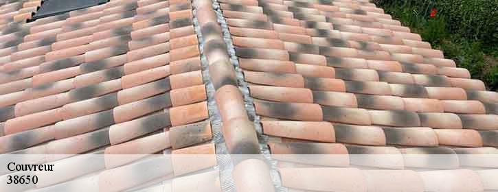 Couvreur  38650