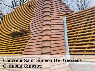 Couvreur saint-simeon-de-bressieux-38870 Couvreur Payen