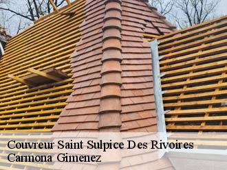 Couvreur saint-sulpice-des-rivoires-38620 Couvreur Payen