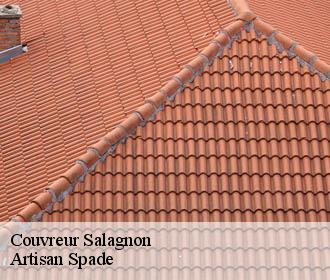 Couvreur salagnon-38890 Artisan Spade