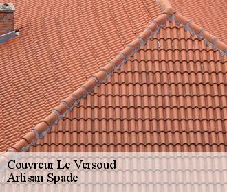 Couvreur  le-versoud-38420 Artisan Spade