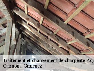 Traitement et changement de charpente  agnin-38150 Couvreur Payen