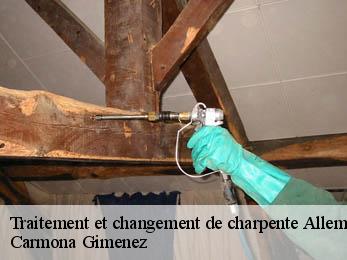 Traitement et changement de charpente  38114