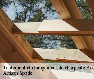 Traitement et changement de charpente aoste-38490 Artisan Spade