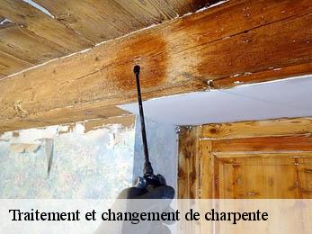 Traitement et changement de charpente